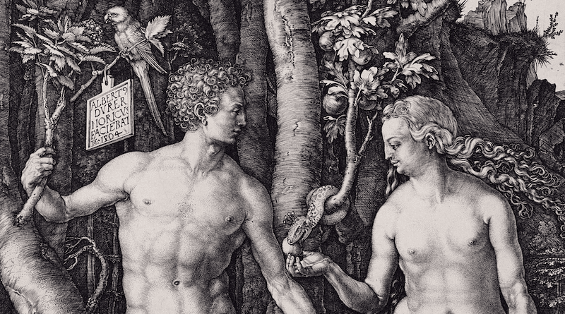 Detail of Adam and Eve, 1504 by Albrecht Dürer. Credit: Wikipedia Commons