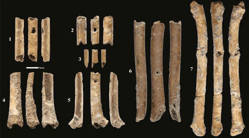 The seven aerophones discovered at Eynan-Mallaha CREDIT: © Laurent Davin