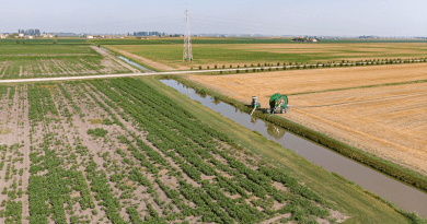 irrigation canal fields farming