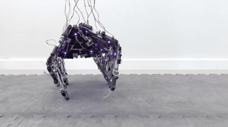 Mori configuration moving as quadruped CREDIT: EPFL RRL