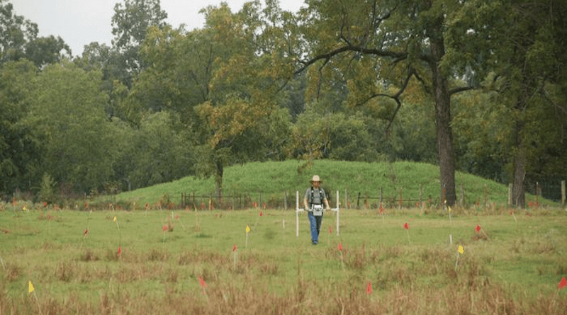 John Samuelsen conducting gradiometry survey at the Crenshaw site in southwest Arkansas. CREDIT: University of Arkansas
