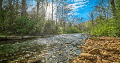 Syracuse University researchers co-authored a study exploring the extent to which human activities are contributing to hydrogeochemical changes in U.S. rivers. The image above is Mills River in Pisgah National Forest, North Carolina. CREDIT: Syracuse University