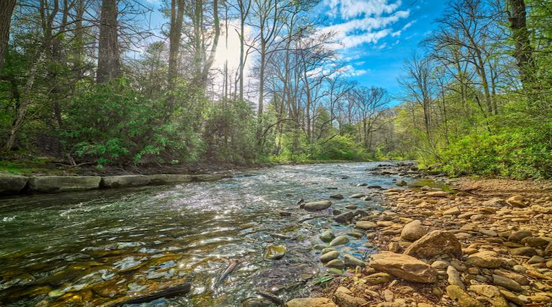 Syracuse University researchers co-authored a study exploring the extent to which human activities are contributing to hydrogeochemical changes in U.S. rivers. The image above is Mills River in Pisgah National Forest, North Carolina. CREDIT: Syracuse University