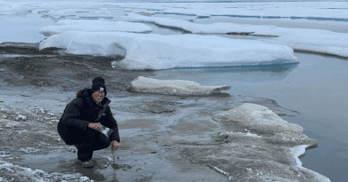 Professor Anders Priemé sampling on islets north of Greenland CREDIT: Anders Priemé