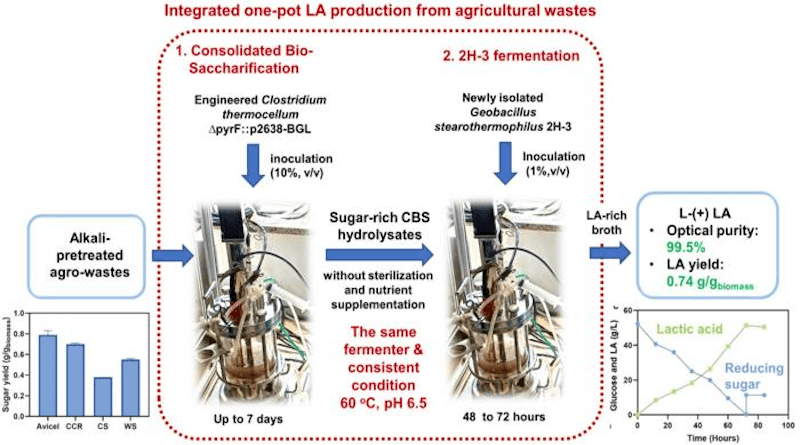 Schematic representation of the integrated LA production process from agro-wastes CREDIT: LIU Ya-Jun