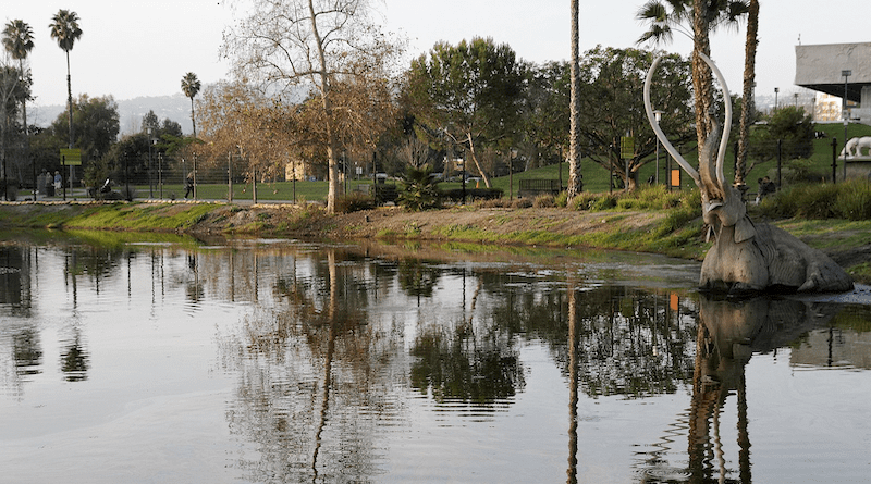 La Brea Tar Pits. Photo Credit: KimonBerlin, Wikimedia Commons