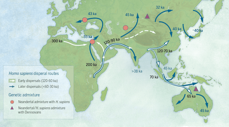 Overview map of the peopling of the world by early modern humans (numbers indicate dates in thousands of years ago [ka]) Credit: Katerina Douka & Michelle O’Reilly, Michael D. Petraglia - "On the origin of modern humans: Asian perspectives", Science 08 Dec 2017: Vol. 358, Issue 6368, DOI: 10.1126/science.aai9067, Wikipedia Commons