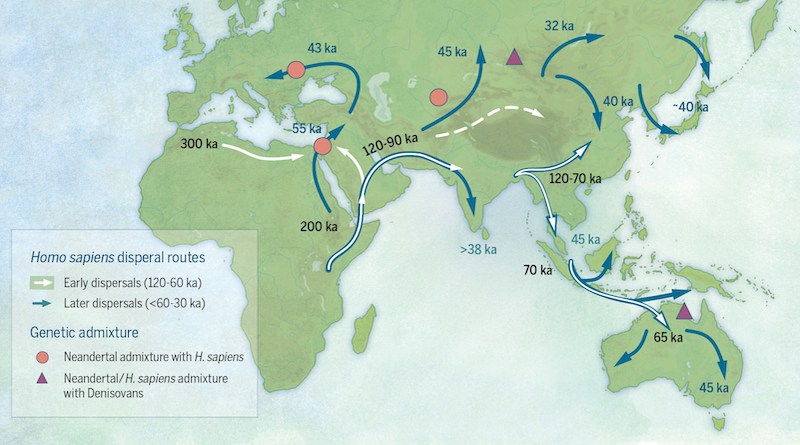 Overview map of the peopling of the world by early modern humans (numbers indicate dates in thousands of years ago [ka]) Credit: Katerina Douka & Michelle O’Reilly, Michael D. Petraglia - "On the origin of modern humans: Asian perspectives", Science 08 Dec 2017: Vol. 358, Issue 6368, DOI: 10.1126/science.aai9067, Wikipedia Commons