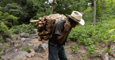 A poor man selling firewood for domestic use in rural Guatemala. Global crises have left UN poverty, hunger and health goals seriously off track. Copyright: EU Civil Protection and Humanitarian Aid, (CC BY-NC-ND 2.0)