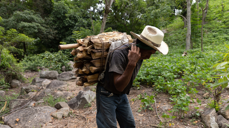 A poor man selling firewood for domestic use in rural Guatemala. Global crises have left UN poverty, hunger and health goals seriously off track. Copyright: EU Civil Protection and Humanitarian Aid, (CC BY-NC-ND 2.0)