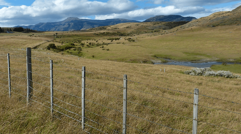 agriculture farm grasslands Chile South America