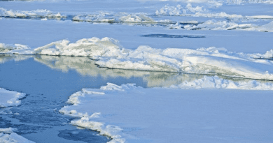 Ice floes in the Arctic. CREDIT: Mike Dunn, NOAA Climate Program Office, NABOS 2006 Expedition