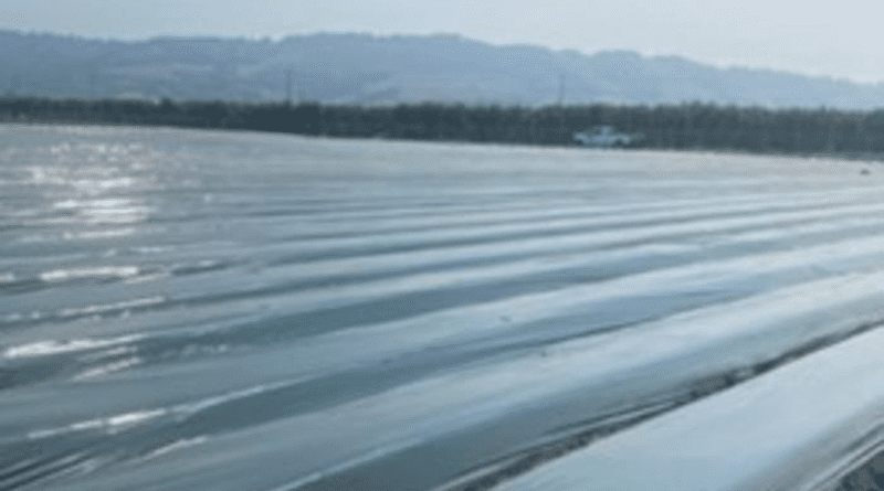 Polyethylene mulched strawberry fields, San Luis Obispo, CA CREDIT: Seeta Sistla