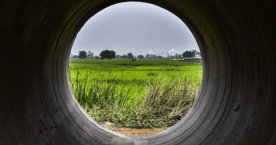 pakistan farm agriculture rural
