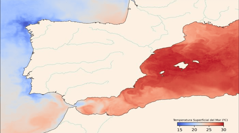 Sea-surface temperature map, July 2022. Data from Copernicus Marine Service. CREDIT: Data from Copernicus Marine Service. / Pere Rosselló