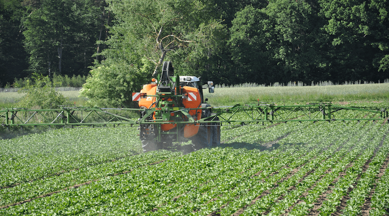 Pesticides used in agriculture contribute to biodiversity loss. Photo: Markus Bernards