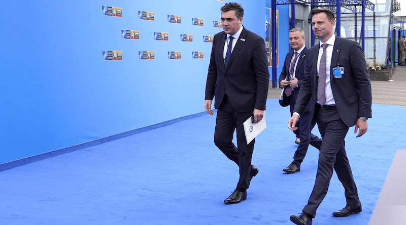 Georgia's Foreign Minister Ilia Darchiashvili (left) at Vilnius Summit Photo Credit: Facebook; Ilia Darchiashvili