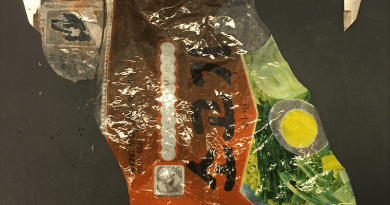 Plastic waste – like this packaging of a Japanese noodle soup – was present at each of the 13 deep-sea stations surveyed. Photo: Serena Abel