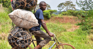 A man riding a bicycle delivers charcoal in Uganda. Photo Credit: Rod Waddington, Wikipedia Commons