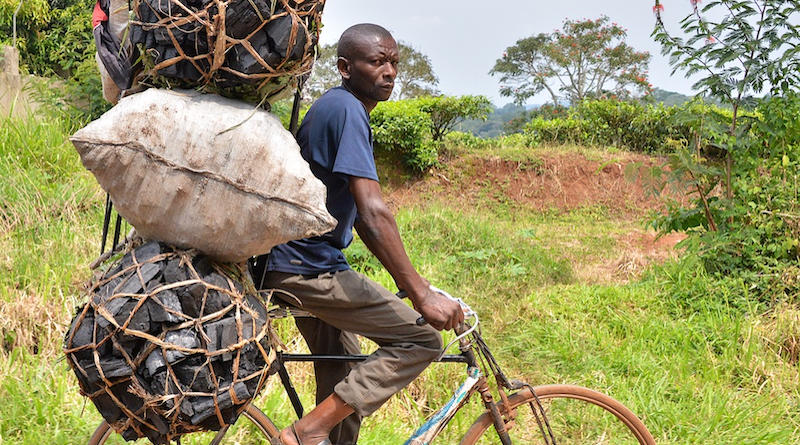 A man riding a bicycle delivers charcoal in Uganda. Photo Credit: Rod Waddington, Wikipedia Commons