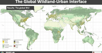 This is the first map of wildland-urban interface areas around the globe. It also provides detail about the kind of vegetation cover within each area. Courtesy of the UW–Madison SILVIS Lab. CREDIT: University of Wisconsin–Madison, SILVIS Lab