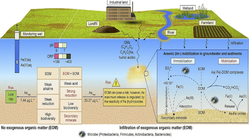 Graphical abstract