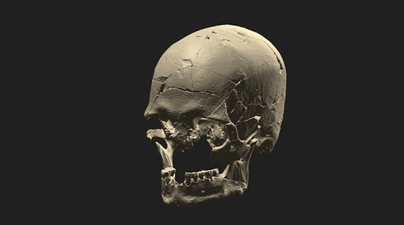 The investigation that covered four different parts of Brazil carried out analysis of genomic data from 34 fossils, including larger skeletons and the famous mounds of shells and fishbones built on the coast CREDIT: André Strauss