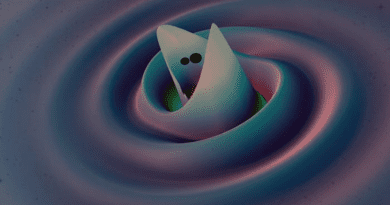 Ripples in the spacetime around a merging binary black-hole system from a numerical relativity simulation. CREDIT Image credit: Deborah Ferguson, Karan Jani, Deirdre Shoemaker, Pablo Laguna, Georgia Tech, MAYA Collaboration