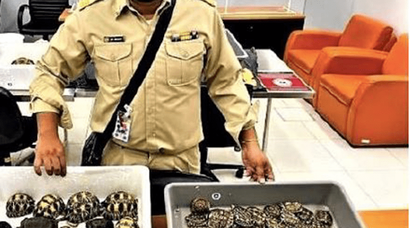 Thai customs at Suvarnabhumi International Airport seized the 116 CITES-protected tortoises as part of Operation Golden Strike. Photo Credit: INTERPOL