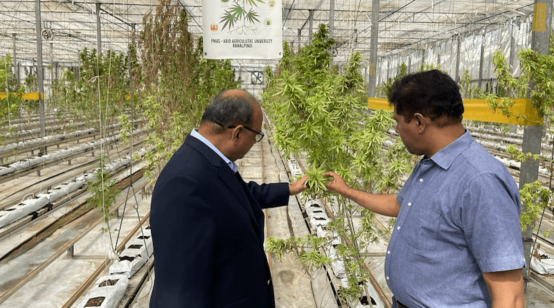 A hydroponic facility in Rabat, Pakistan. Photo Credit: FonGrow