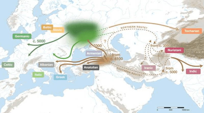 The language family began to diverge from around 8100 years ago, out of a homeland immediately south of the Caucasus. One migration reached the Pontic-Caspian and Forest Steppe around 7000 years ago, and from there subsequent migrations spread into parts of Europe around 5000 years ago. CREDIT: © P. Heggarty et al., Science (2023)
