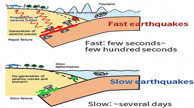 While fast earthquakes are violent shakes lasting for a few minutes, slow earthquakes are subdued shakes lasting several days. Understanding slow earthquakes might help forecast fast earthquakes. CREDIT Image modified from “Science of slow earthquakes” leaflet. https://www.eri.u-tokyo.ac.jp/project/sloweq/en/newsletters/pdf/leaflet_EN.pdf