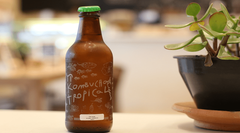 Kombucha Beverage Drink