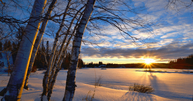 winter snow sun landscape