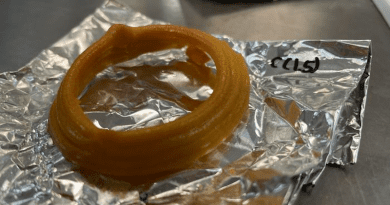 Air-frying a 3D-printed plant-based calamari ring resulted in a quick, tasty snack. CREDIT: Poornima Vijayan
