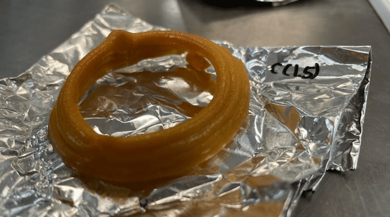 Air-frying a 3D-printed plant-based calamari ring resulted in a quick, tasty snack. CREDIT: Poornima Vijayan