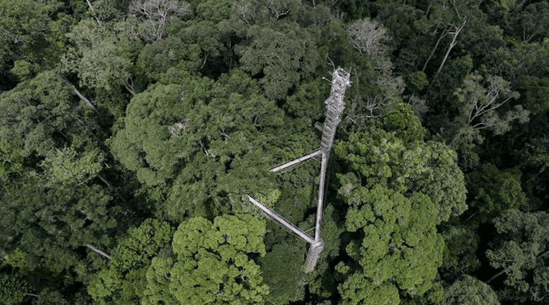 A VIEW OF A FLUX TOWER IN A FOREST ECOSYSTEM COLLECTING DATA FOR THE MEASUREMENT OF CARBON AND WATER CYCLES. CREDIT PHOTO CREDIT: NAISHEN LIANG
