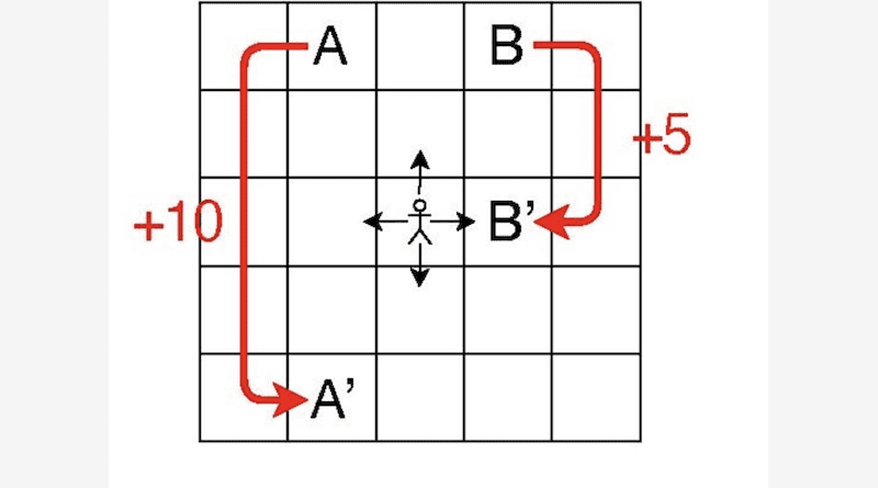 The agent chooses one of the four actions indicated by black arrows, receives a reward and goes to the next cell. If the agent arrives in either of the two special cells A or B, the reward is large and the agent jumps to another cell, as shown by the red arrows. CREDIT: HIROAKI SHINKAWA ET AL.