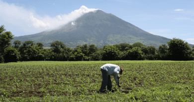 farm farmer agriculture el salvador