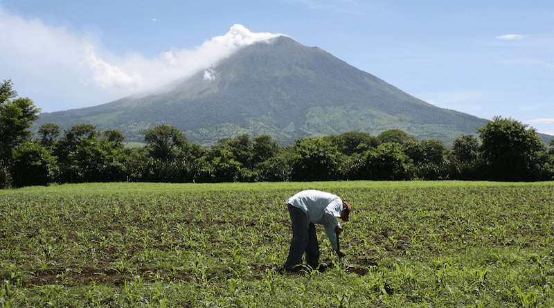 farm farmer agriculture el salvador