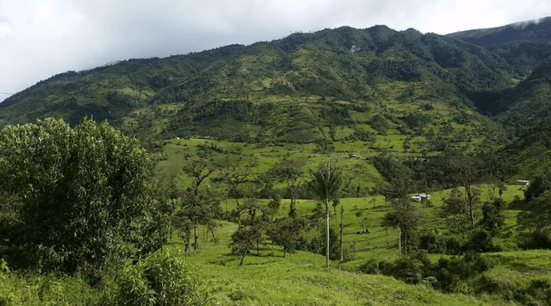 Researchers spent five years surveying bird communities in Peru to see how species were affected by different levels of agricultural development. CREDIT: Photo by Ian Ausprey