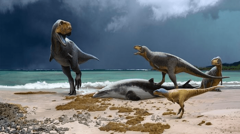 Fossils have been found of several types of abelisaur showing the diversity of dinosaurs in Morocco at the end of the Cretaceous period. CREDIT: Andrey Atuchin