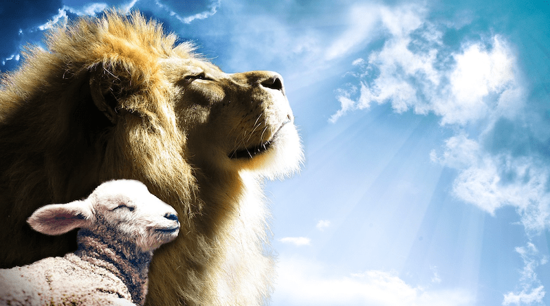 Armageddon Lamb Lion End Times Religion