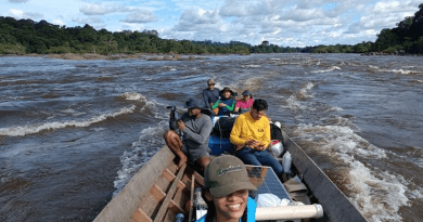Colleagues of Stahle and Granato-Souza from Laranjal do Jari, a municipality on the Jari River, which is a tributary of the Amazon. CREDIT: Daniela Granato-Souza