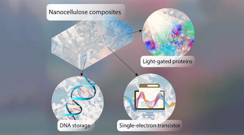 Information can be stored in the form of DNA on chips made of semiconducting nanocellulose. Light-controlled proteins read the information. CREDIT: Chair of Bioinformatics / University of Würzburg
