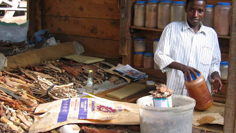 A local herbal shop keeper displaying his assortment of traditional medicines in Arusha, Tanzania. The traditional medicine market is projected to reach US$115 billion by the end of this year. Copyright: neiljs (CC BY 2.0)