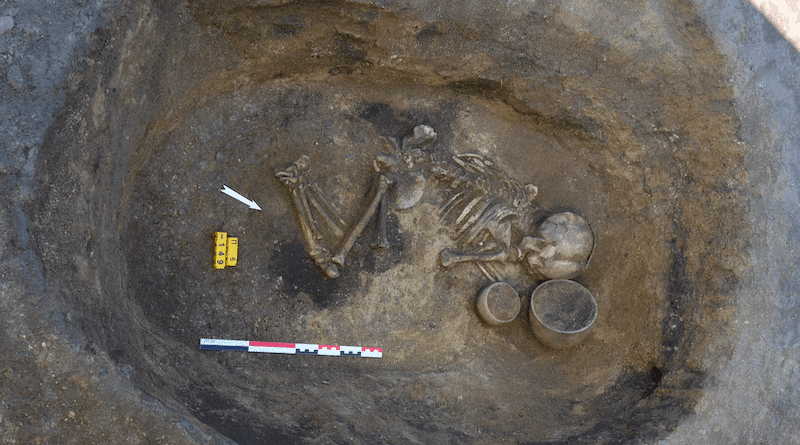 A skeleton from the Nepluyevsky site (photo/©: Svetlana Sharapova)