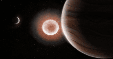 An artist's rendition of the two planets and star in the TOI-4600 system. CREDIT: Tedi Vick