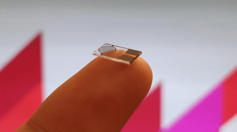 Nanoparticle sensors are smaller than a human fingernail CREDIT: Macquarie University
