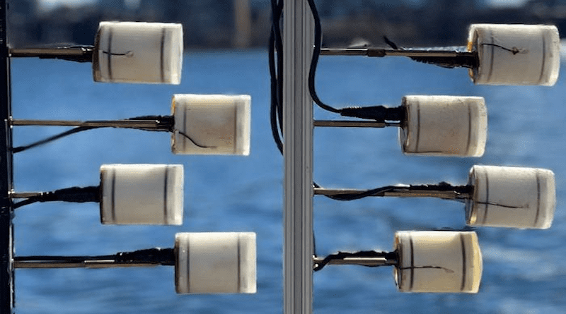 The device is an array of piezoelectric transducers that enables battery-free underwater communication. CREDIT: Courtesy of Fadel Adib, et. al.